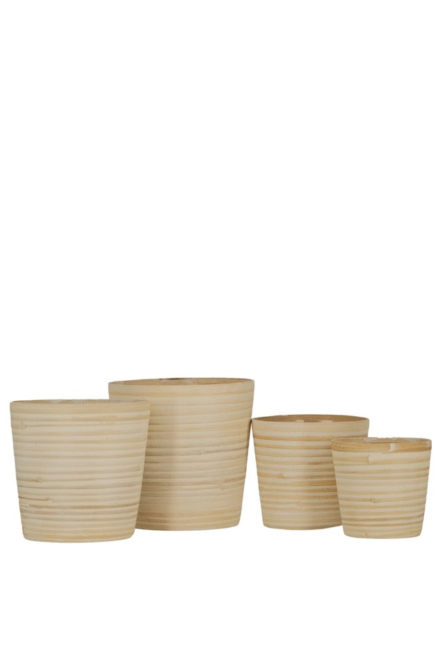BASKET BASKETS CANE CANES WARE WARES WILLOW WILLOWS HAMPER HAMPERS TRAY TRAYS TRAIE GIFT GIFTS OVAL OVALS ROUND ROUNDS SQUARE SQUARES RECTANGLE RECTANGLES ROPE ROPES SETS SET WEDDING WEDDINGS BRIDE BRIDES BRIDAL BRIDALS OF OFS BAMBOO BAMBOOS PLANTER PLANTERS TAPER TAPERS
