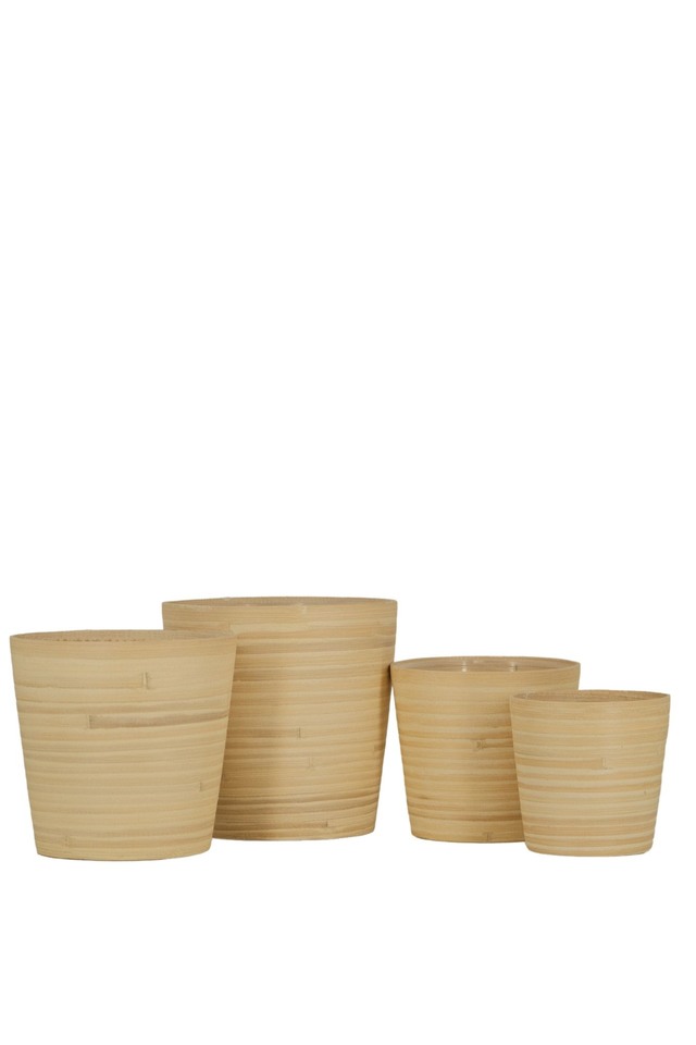 BASKET BASKETS CANE CANES WARE WARES WILLOW WILLOWS HAMPER HAMPERS TRAY TRAYS TRAIE GIFT GIFTS OVAL OVALS ROUND ROUNDS SQUARE SQUARES RECTANGLE RECTANGLES ROPE ROPES SETS SET WEDDING WEDDINGS BRIDE BRIDES BRIDAL BRIDALS OF OFS BAMBOO BAMBOOS PLANTER PLANTERS TAPER TAPERS