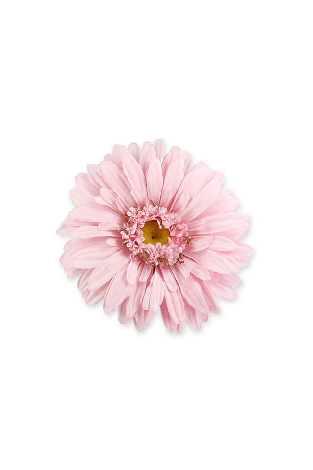 WEDDING WEDDINGS ARTIFICIAL ARTIFICIALS FLOWERS FLOWER BRIDE BRIDES BRIDAL BRIDALS HEAD HEADS GERBERA GERBERAS LARGE LARGES GIANT GIANTS XL XLS DISPLAY DISPLAYS DISPLAIE FLORAL FLORALS WHITE WHITES XXL XXLS