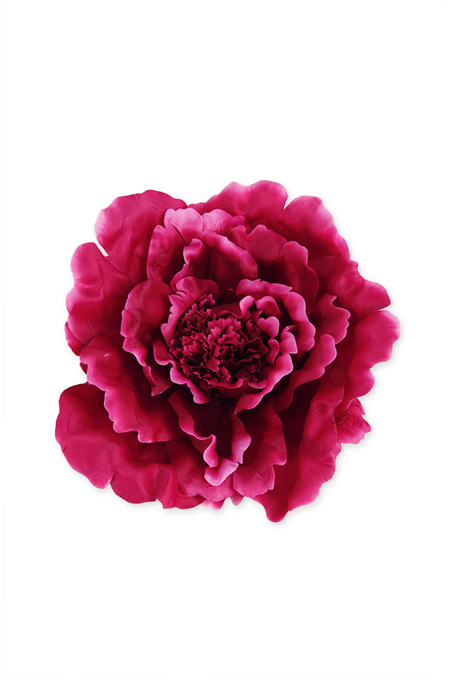 ROSE ROSES WEDDING WEDDINGS ARTIFICIAL ARTIFICIALS FLOWERS FLOWER BRIDE BRIDES BRIDAL BRIDALS HEAD HEADS RANUNCULUS RANUNCULU LARGE LARGES GIANT GIANTS XL XLS DISPLAY DISPLAYS DISPLAIE FLORAL FLORALS WHITE WHITES XXXL XXXLS PEONY PEONIES PEONIE