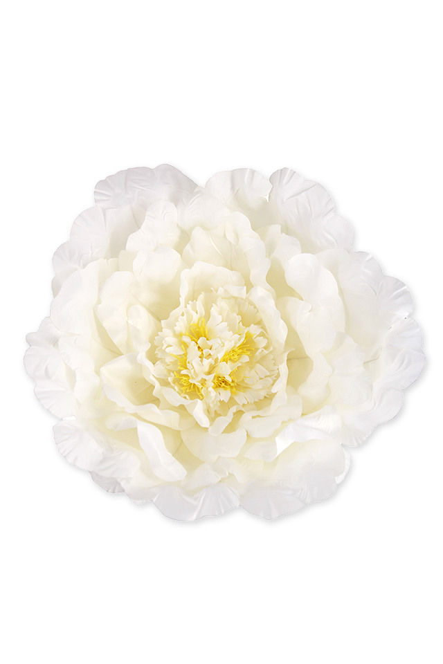 ROSE ROSES WEDDING WEDDINGS ARTIFICIAL ARTIFICIALS FLOWERS FLOWER BRIDE BRIDES BRIDAL BRIDALS HEAD HEADS RANUNCULUS RANUNCULU LARGE LARGES GIANT GIANTS XL XLS DISPLAY DISPLAYS DISPLAIE FLORAL FLORALS WHITE WHITES XXXXL XXXXLS PEONY PEONIES PEONIE