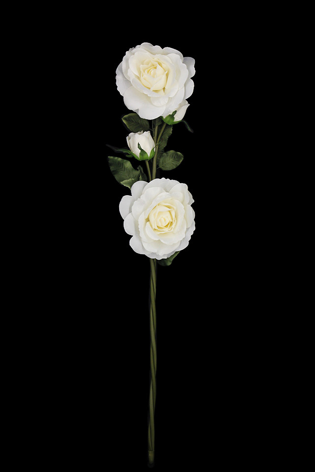 ROSE ROSES WEDDING WEDDINGS ARTIFICIAL ARTIFICIALS FLOWERS FLOWER BRIDE BRIDES BRIDAL BRIDALS HEAD HEADS LARGE LARGES GIANT GIANTS XL XLS DISPLAY DISPLAYS DISPLAIE FLORAL FLORALS WHITE WHITES THREE THREES TRIPLE TRIPLES SPRAY SPRAYS SPRAIE STEM STEMS FOUR FOURS