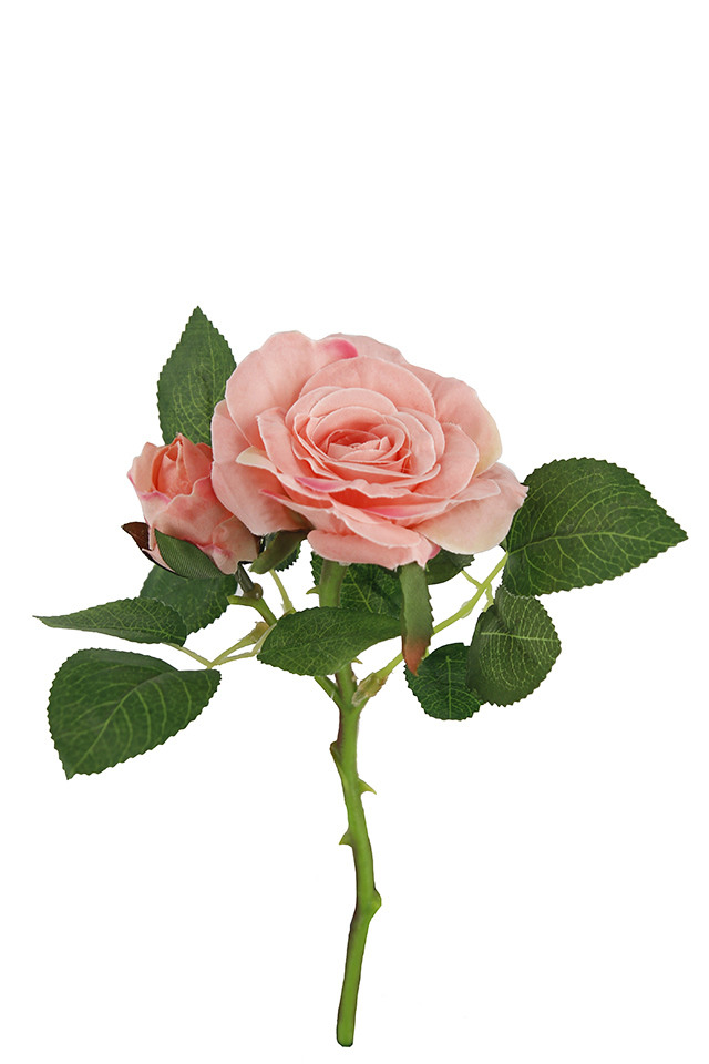 ROSE ROSES ARTIFICIAL ARTIFICIALS FLOWERS FLOWER STEM STEMS OPEN OPENS BUD BUDS SHORT SHORTS