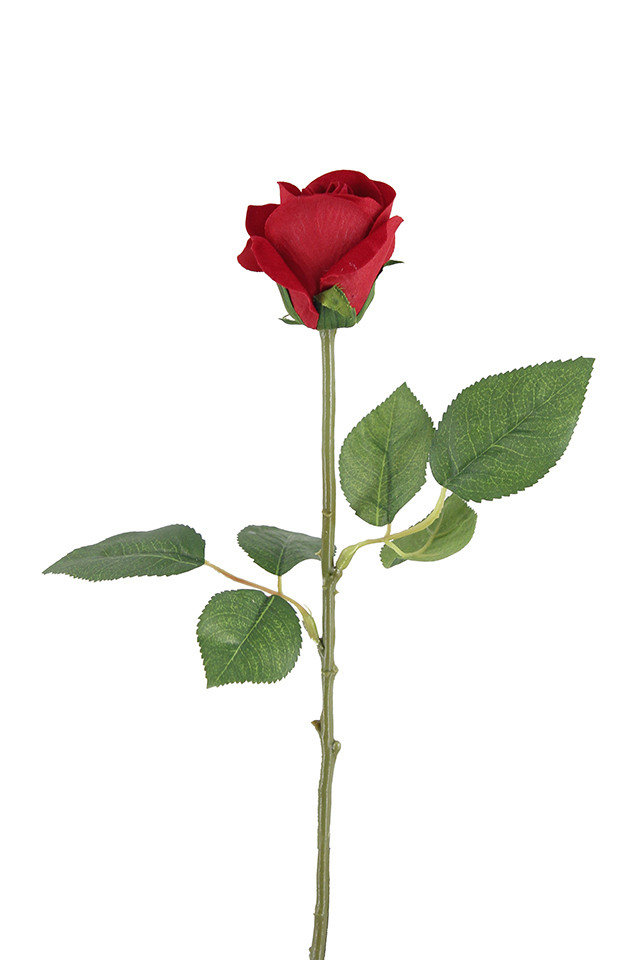 ROSE ROSES ARTIFICIAL ARTIFICIALS FLOWERS FLOWER STEM STEMS VALENTINES VALENTINE SINGLE SINGLES FLOCKED FLOCKEDS