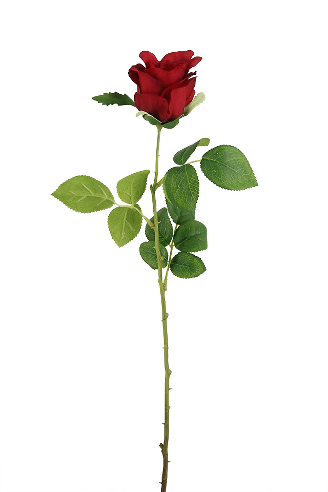 ROSE ROSES ARTIFICIAL ARTIFICIALS FLOWERS FLOWER STEM STEMS VALENTINES VALENTINE SINGLE SINGLES
