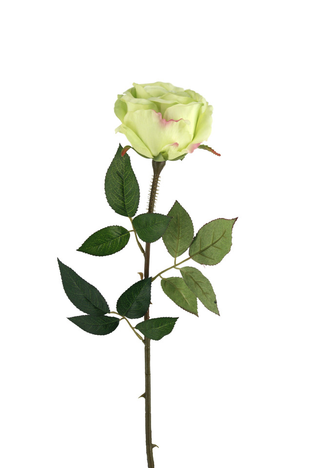 ROSE ROSES ARTIFICIAL ARTIFICIALS FLOWERS FLOWER STEM STEMS SINGLE SINGLES