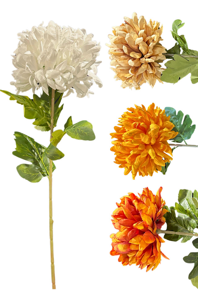 CHRYSANTHEMUM CHRYSANTHEMUMS ARTIFICIAL ARTIFICIALS FLOWER FLOWERS DAHLIA DAHLIUM GIANT GIANTS HYBRID HYBRIDS