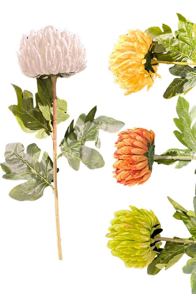 CHRYSANTHEMUM CHRYSANTHEMUMS ARTIFICIAL ARTIFICIALS FLOWER FLOWERS DAHLIA DAHLIUM GRANDIFLORUM GRANDIFLORUMS