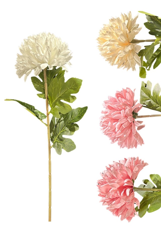 CHRYSANTHEMUM CHRYSANTHEMUMS ARTIFICIAL ARTIFICIALS FLOWER FLOWERS DAHLIA DAHLIUM POMPOM POMPOMS