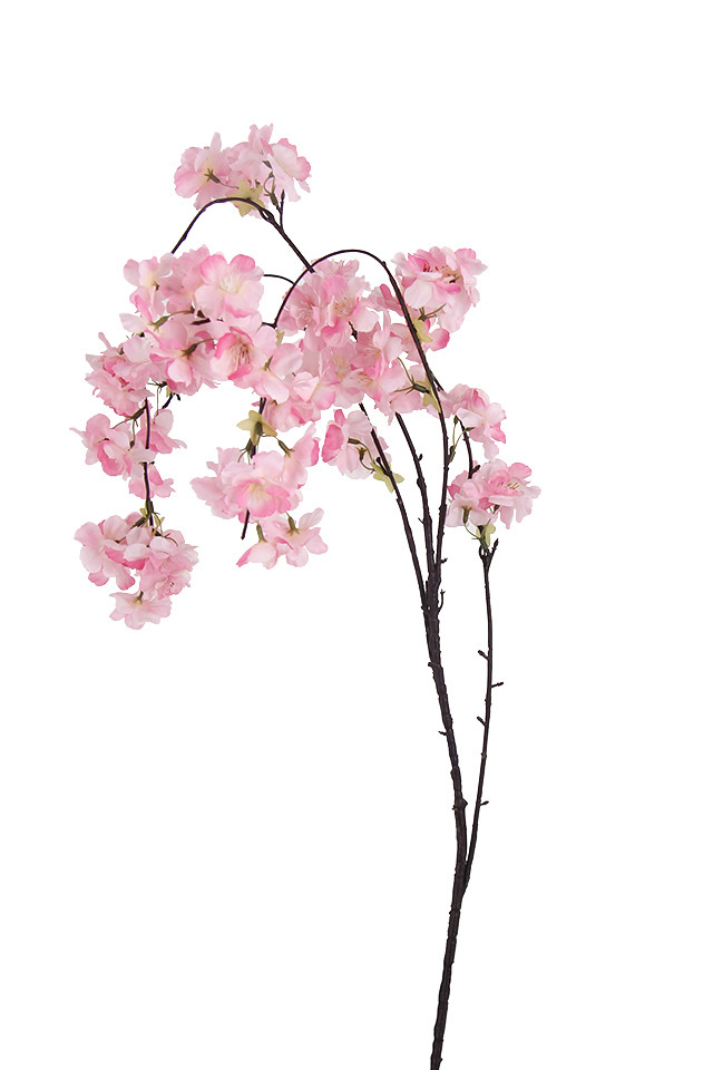WHITE WHITES BLOSSOM BLOSSOMS ARTIFICIAL ARTIFICIALS FLOWERS FLOWER BRANCH BRANCHES BRANCHE TREE TREES DROOPING DROOPINGS