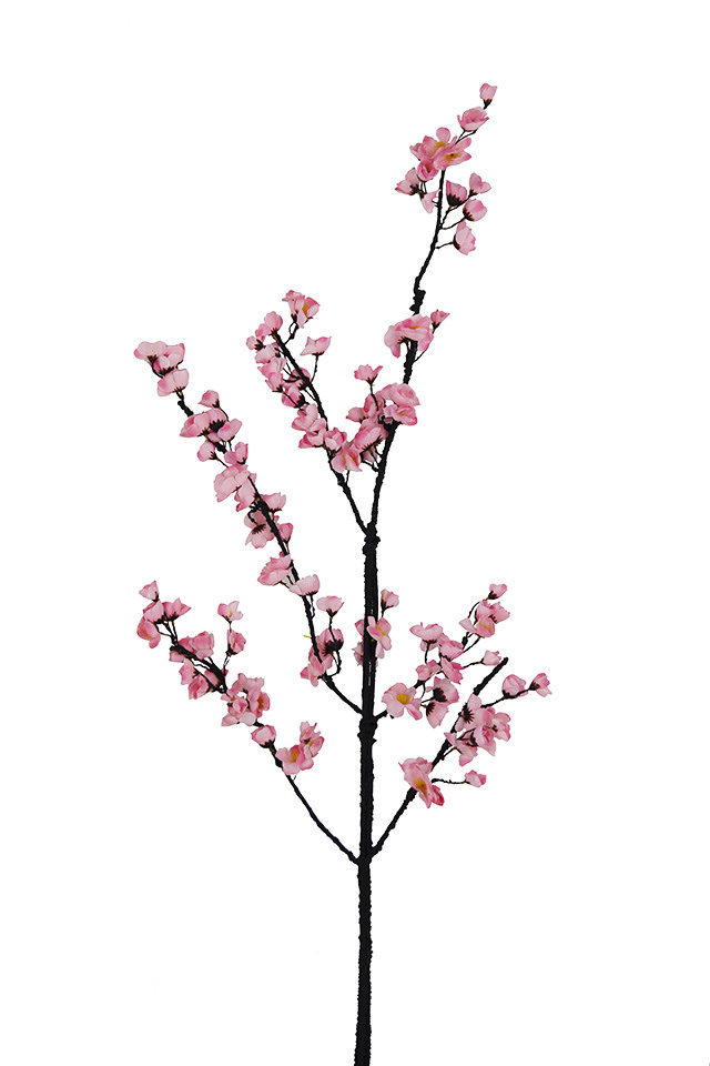 BLOSSOM BLOSSOMS ARTIFICIAL ARTIFICIALS FLOWERS FLOWER BRANCH BRANCHES BRANCHE CHERRY CHERRIES CHERRIE APPLE APPLES PLUM PLUMS SPRAY SPRAYS SPRAIE ARRANGEMENT ARRANGEMENTS STEM STEMS TREE TREES FAKE FAKES DELUXE DELUXES DELUX CHINESE CHINESES