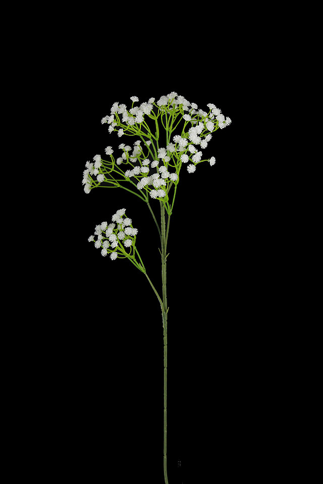 POLY POLIES POLIE GYP GYPS HEADS HEAD ARTIFICIAL ARTIFICIALS FLOWERS FLOWER FILLER FILLERS WEDDING WEDDINGS BABY BABIES BABIE BREATH BREATHS BABYS BABY'S BABY' PLANT PLANTS SYNTHETIC SYNTHETICS FAKE FAKES SILK SILKS PLASTIC PLASTICS LEAF LEAFS LEAVE LEAVES LEAFE GREEN GREENS GREENERY GREENERIES GREENERIE FOLIAGE FOLIAGES NATURAL NATURALS WILD WILDS GYPSOPHILA GYPSOPHILAS FIELD FIELDS S