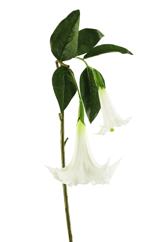 MORNING MORNINGS FLOWER FLOWERS ARTIFICIAL ARTIFICIALS TROPICAL TROPICALS MISC MISCS X