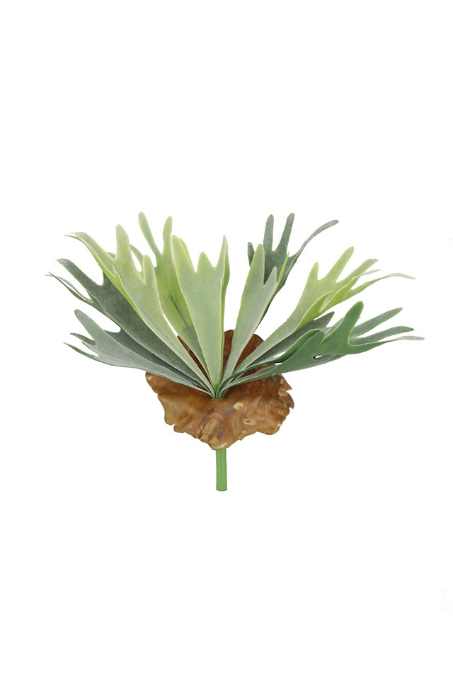 GGREENERY GGREENERIES GGREENERIE ARTIFICIAL ARTIFICIALS FLOWERS FLOWER FERN FERNS LEAVES LEAFE LEAVE LLEAVES LLEAFE LLEAVE STAG STAGS HORN HORNS GREENERY GREENERIES GREENERIE X HEADS HEAD