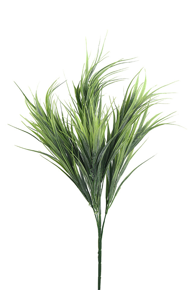 GRASS GRASSES GRAS BUSH BUSHES LEAVES LEAFE LEAVE LEAF LEAFS REED REEDS GREENERY GREENERIES GREENERIE
