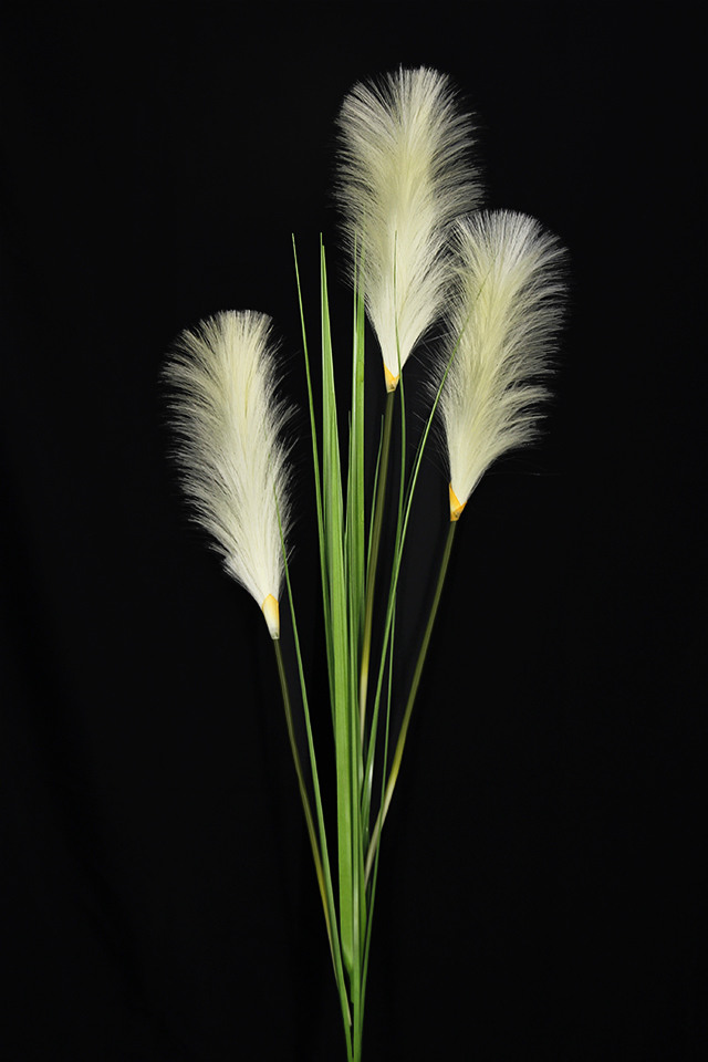 GRASS GRASSES GRAS BUSH BUSHES FLOWER FLOWERS LEAVES LEAFE LEAVE LEAF LEAFS REED REEDS GREENERY GREENERIES GREENERIE PAMPAS PAMPA ARTIFICIAL ARTIFICIALS WITH WITHS HEADS HEAD