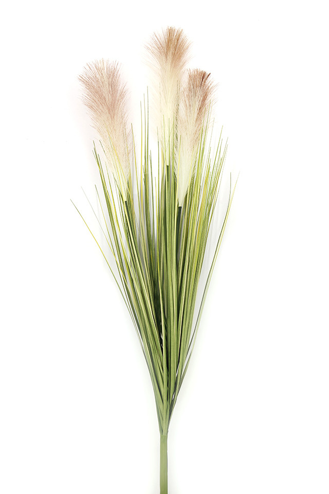 GRASS GRASSES GRAS BUSH BUSHES FLOWER FLOWERS LEAVES LEAFE LEAVE LEAF LEAFS REED REEDS GREENERY GREENERIES GREENERIE PAMPAS PAMPA ARTIFICIAL ARTIFICIALS WITH WITHS HEADS HEAD