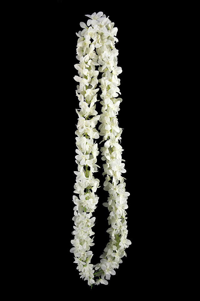 FRANGIPANI FRANGIPANIS GARLAND GARLANDS 7FT 7FTS TROPICAL TROPICALS FLOWERS FLOWER ARTIFICIAL ARTIFICIALS DEGREE DEGREES FLORAL FLORALS