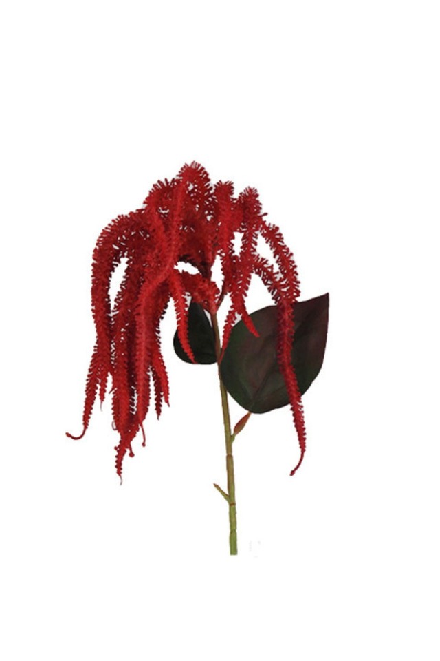 FLOWER FLOWERS VERONICA VERONICAS TAILS TAIL TROPICAL TROPICALS ARTIFICIAL ARTIFICIALS SPRAY SPRAYS SPRAIE