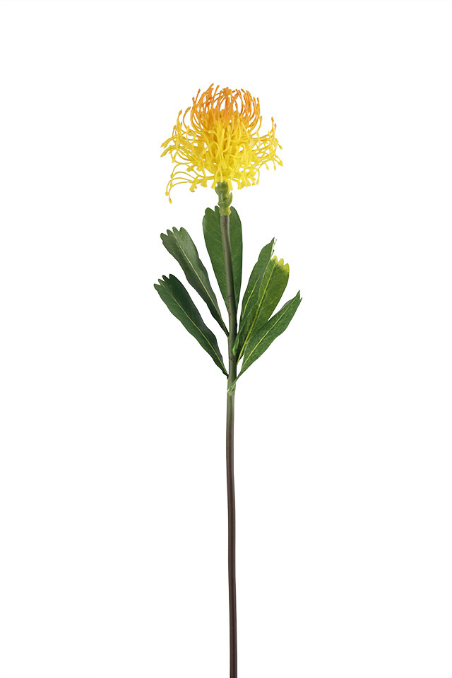 LEUCOSPERNUM LEUCOSPERNUMS PROTEA PROTEAS AUSTRALIAN AUSTRALIANS NATIVES NATIVE ARTIFICIAL ARTIFICIALS SUGARBUSH SUGARBUSHES PIN PINS WHEEL WHEELS PINWHEEL PINWHEELS FLOWER FLOWERS