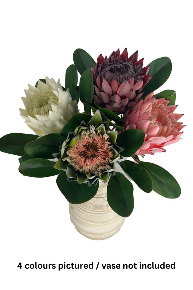 NATIVE NATIVES PROTEA PROTEAS FAKE FAKES FAUX FAUXES ARTIFICIAL ARTIFICIALS FLOWER FLOWERS KING KINGS COLOUR COLOURS