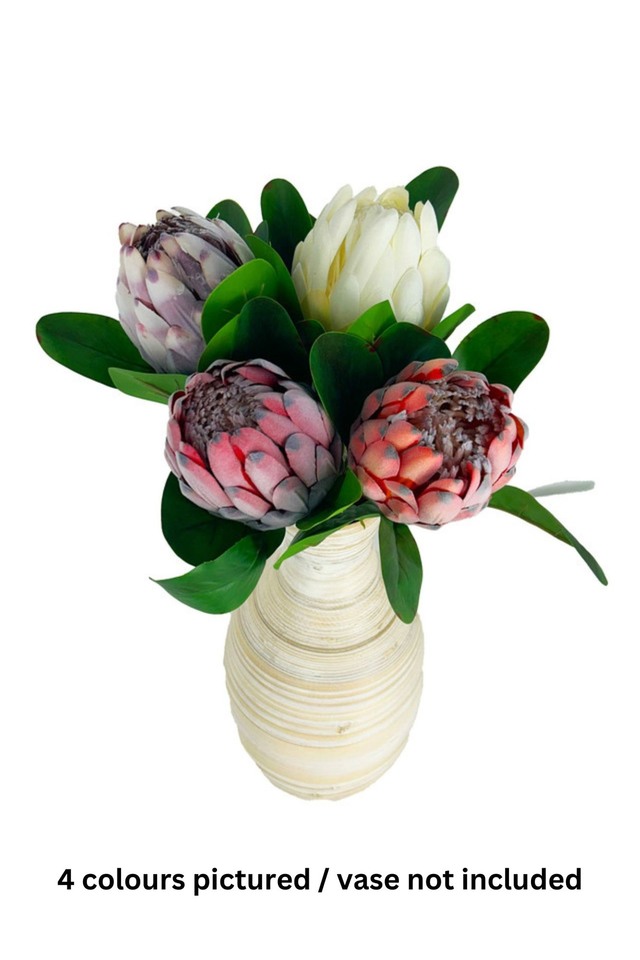 NATIVE NATIVES PROTEA PROTEAS FAKE FAKES FAUX FAUXES ARTIFICIAL ARTIFICIALS FLOWER FLOWERS QUEEN QUEENS COLOUR COLOURS