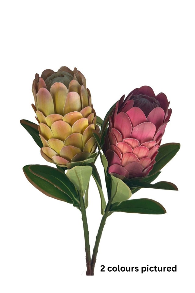 NATIVE NATIVES PROTEA PROTEAS FAKE FAKES FAUX FAUXES ARTIFICIAL ARTIFICIALS FLOWER FLOWERS AUTUMN AUTUMNS MINK MINKS COLOUR COLOURS