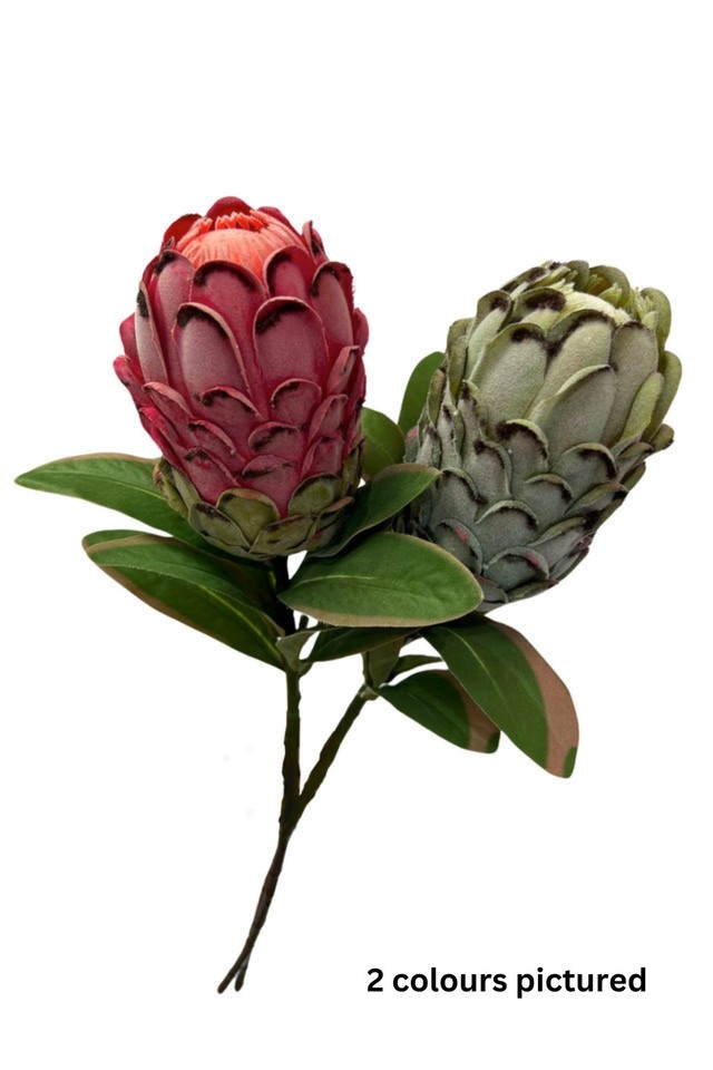 NATIVE NATIVES PROTEA PROTEAS FAKE FAKES FAUX FAUXES ARTIFICIAL ARTIFICIALS FLOWER FLOWERS FELT FELTS MINK MINKS COLOUR COLOURS
