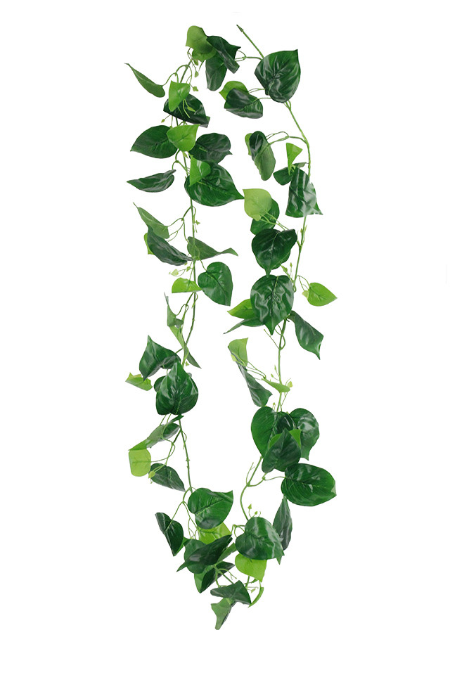 GGREENERY GGREENERIES GGREENERIE IVY IVIES IVIE GARLAND GARLANDS STING STINGS STRAND STRANDS ARTIFICIAL ARTIFICIALS DELUXE DELUXES DELUX GREENERY GREENERIES GREENERIE PHILO PHILOS