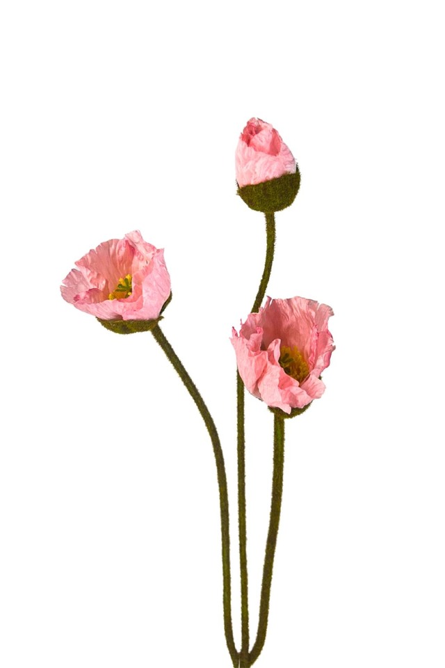 ARTIFICIAL ARTIFICIALS FLOWER FLOWERS PLANT PLANTS SYNTHETIC SYNTHETICS FAKE FAKES SILK SILKS PLASTIC PLASTICS POPPIES POPPY POPPIE SPRAY SPRAYS SPRAIE BRANCH BRANCHES