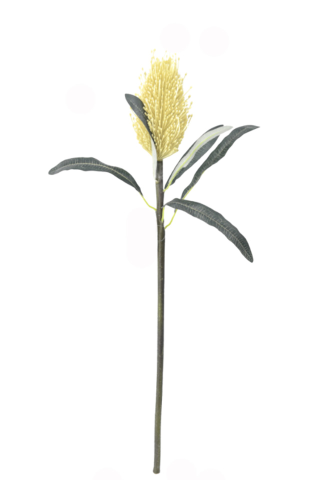 ARTIFICIAL ARTIFICIALS FLOWER FLOWERS PLANT PLANTS SYNTHETIC SYNTHETICS FAKE FAKES SILK SILKS PLASTIC PLASTICS LEAF LEAFS LEAVE LEAVES LEAFE GREEN GREENS GREENERY GREENERIES GREENERIE FOLIAGE FOLIAGES FILLER FILLERS NATURAL NATURALS NATIVE NATIVES NORTHERN NORTHERNS BANKSIA BANKSIUM