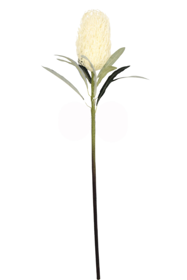ARTIFICIAL ARTIFICIALS FLOWER FLOWERS PLANT PLANTS SYNTHETIC SYNTHETICS FAKE FAKES SILK SILKS PLASTIC PLASTICS LEAF LEAFS LEAVE LEAVES LEAFE GREEN GREENS GREENERY GREENERIES GREENERIE FOLIAGE FOLIAGES FILLER FILLERS NATURAL NATURALS NATIVE NATIVES GIANT GIANTS BANKSIA BANKSIUM
