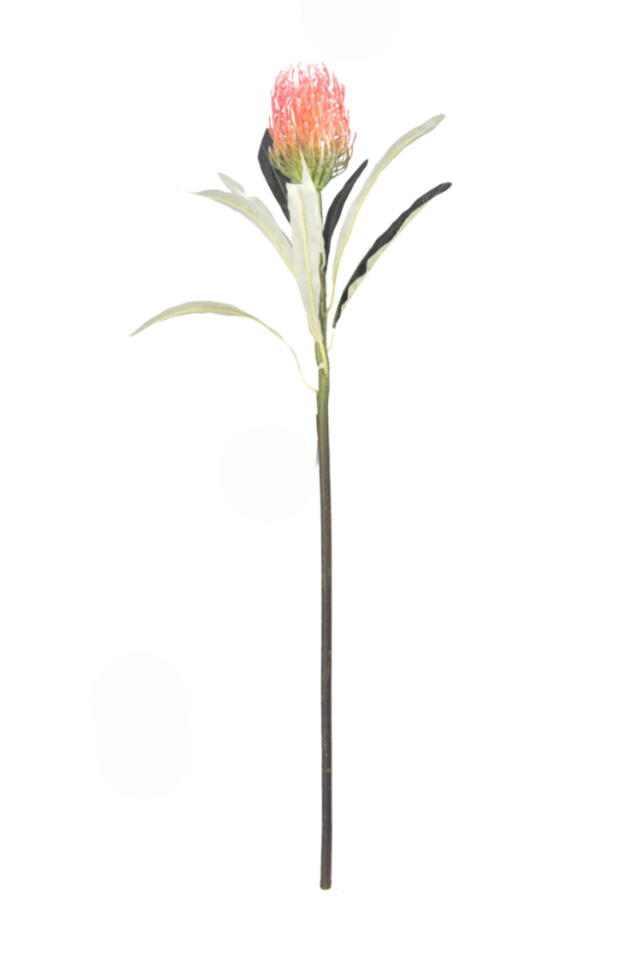 ARTIFICIAL ARTIFICIALS FLOWER FLOWERS PLANT PLANTS SYNTHETIC SYNTHETICS FAKE FAKES SILK SILKS PLASTIC PLASTICS LEAF LEAFS LEAVE LEAVES LEAFE GREEN GREENS GREENERY GREENERIES GREENERIE FOLIAGE FOLIAGES FILLER FILLERS NATURAL NATURALS NATIVE NATIVES BANKSIA BANKSIUM LEUCOSPERMUM LEUCOSPERMUMS