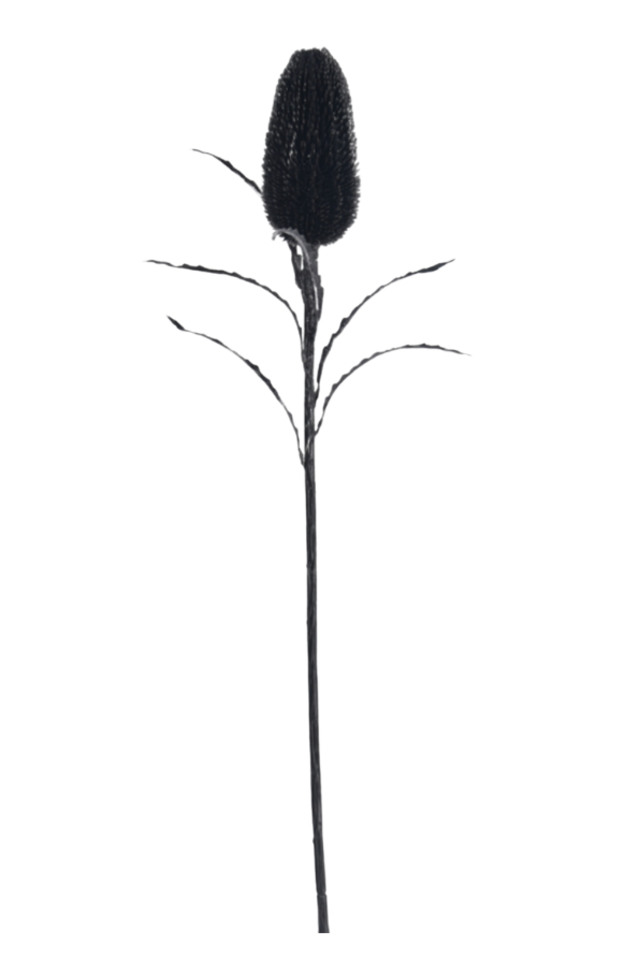 ARTIFICIAL ARTIFICIALS FLOWER FLOWERS PLANT PLANTS SYNTHETIC SYNTHETICS FAKE FAKES SILK SILKS PLASTIC PLASTICS LEAF LEAFS LEAVE LEAVES LEAFE GREEN GREENS GREENERY GREENERIES GREENERIE FOLIAGE FOLIAGES FILLER FILLERS NATURAL NATURALS NATIVE NATIVES BLACK BLACKS GLITTER GLITTERS BANKSIA BANKSIUM