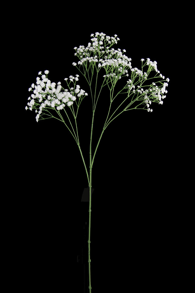 ARTIFICIAL ARTIFICIALS FLOWER FLOWERS PLANT PLANTS SYNTHETIC SYNTHETICS FAKE FAKES SILK SILKS PLASTIC PLASTICS LEAF LEAFS LEAVE LEAVES LEAFE GREEN GREENS GREENERY GREENERIES GREENERIE FOLIAGE FOLIAGES FILLER FILLERS GYP GYPS FIELD FIELDS BABYS BABY BABIES BREATH BREATHS BABY'S BABY' BABY'S BREATH BABY'S BREATHS BABYS BREATH BABYS BREATHS GYPSOPHILA GYPSOPHILAS