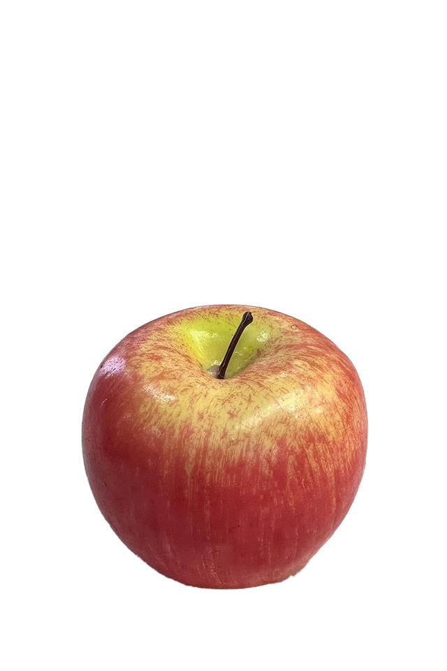 ARTIFICIAL ARTIFICIALS FRUIT FRUITS APPLE APPLES