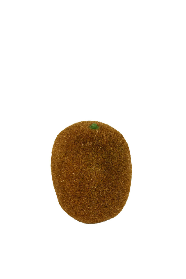 ARTIFICIAL ARTIFICIALS FRUIT FRUITS KIWI KIWIS