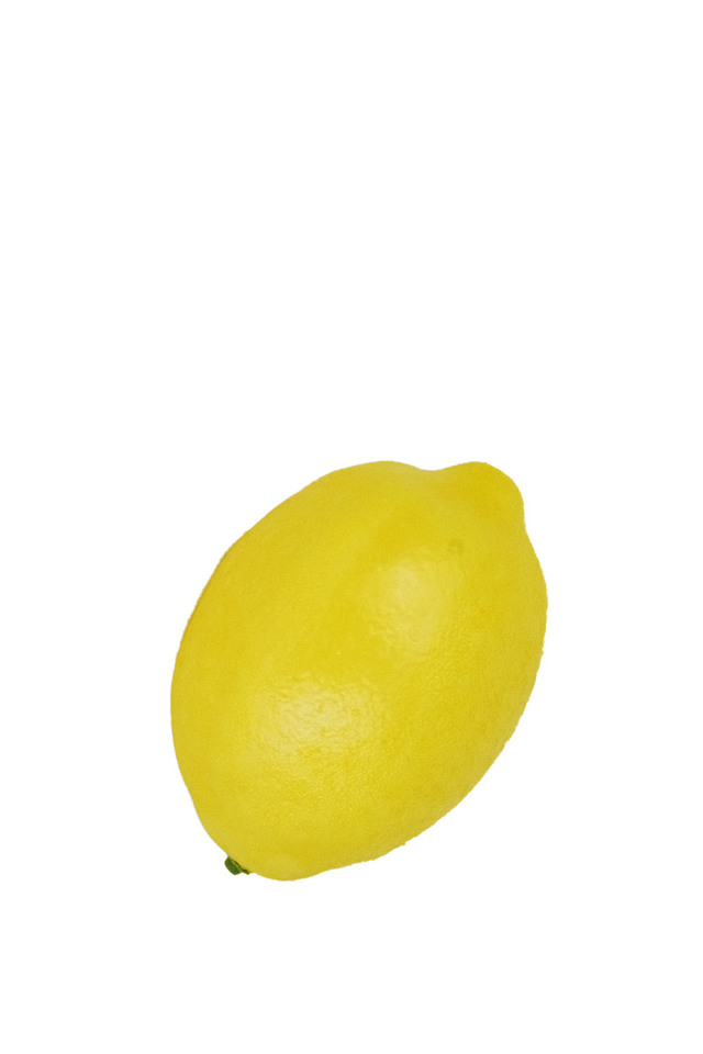 ARTIFICIAL ARTIFICIALS FRUIT FRUITS LEMON LEMONS