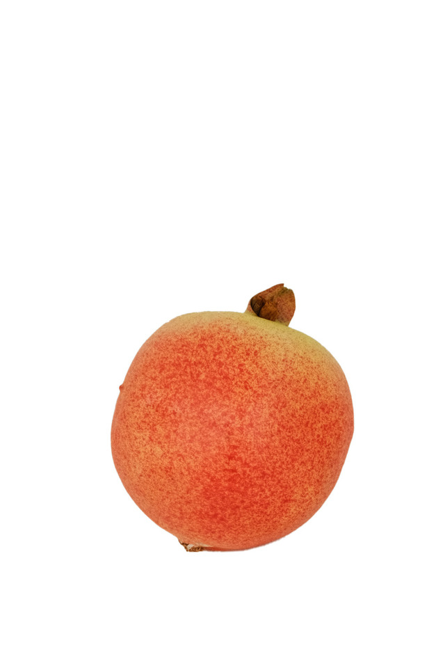 ARTIFICIAL ARTIFICIALS FRUIT FRUITS POMEGRANATE POMEGRANATES