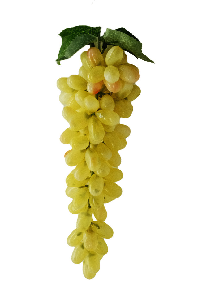 ARTIFICIAL ARTIFICIALS FRUIT FRUITS GRAPES GRAPE GREEN GREENS