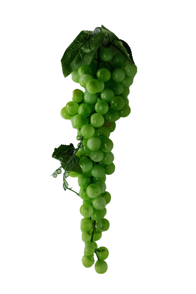 ARTIFICIAL ARTIFICIALS FRUIT FRUITS GRAPES GRAPE GREEN GREENS