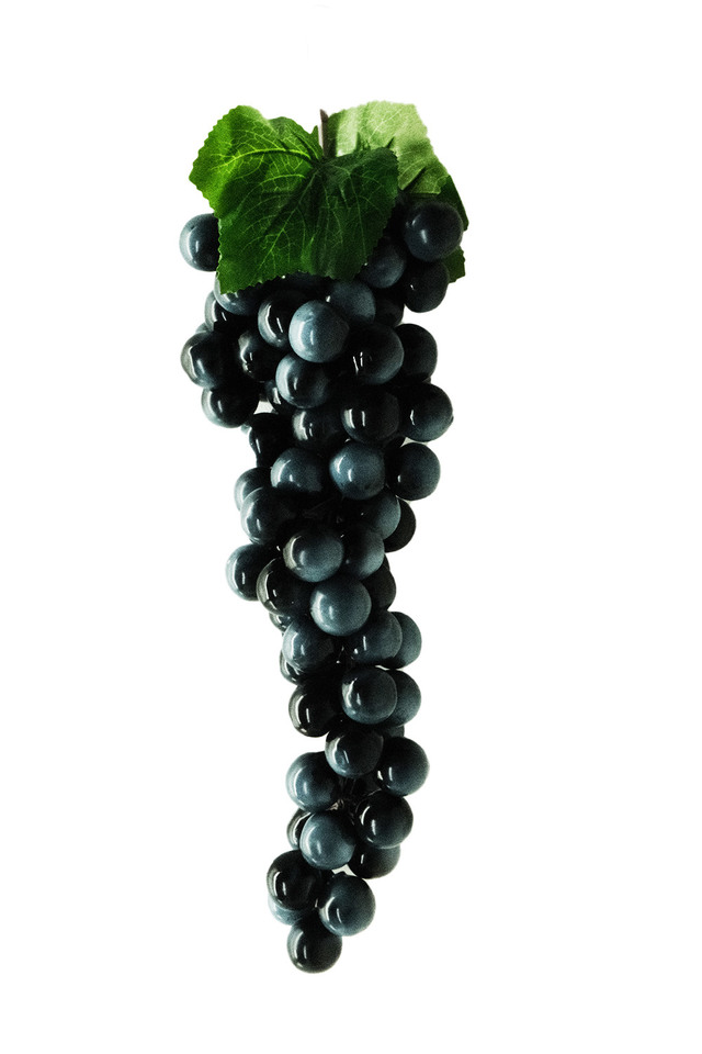 ARTIFICIAL ARTIFICIALS FRUIT FRUITS GRAPES GRAPE WINE WINES