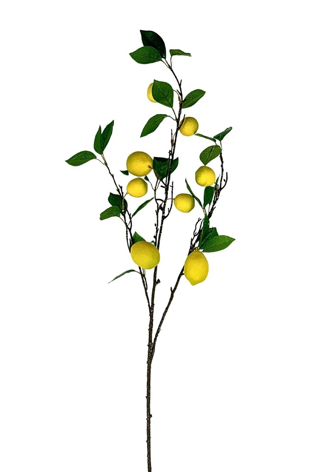 ARTIFICIAL ARTIFICIALS FRUIT FRUITS LEMON LEMONS SPRAY SPRAYS SPRAIE