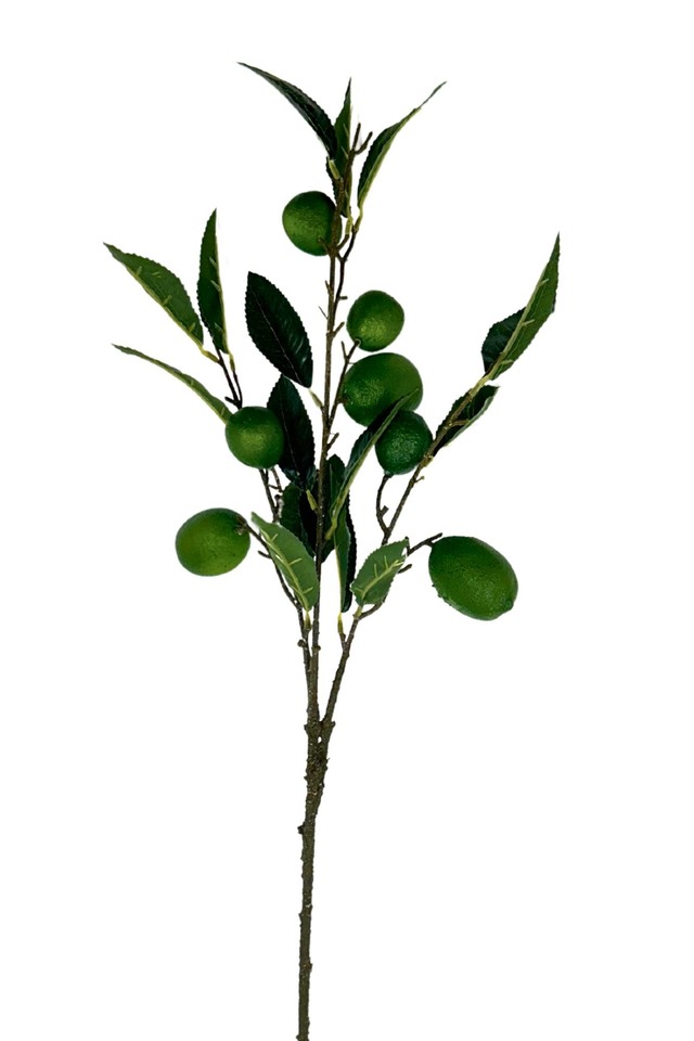 ARTIFICIAL ARTIFICIALS FRUIT FRUITS LIME LIMES SPRAY SPRAYS SPRAIE