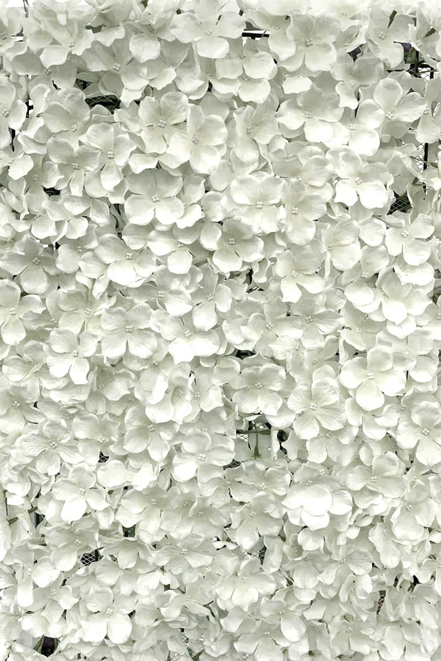 HYDRANGEA HYDRANGEAS ARTIFICIAL ARTIFICIALS FLOWERS FLOWER HEAD HEADS PANEL PANELS WALL WALLS FLOWER PANEL FLOWER PANELS FLOWER WALL FLOWER WALLS