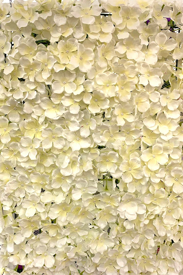 HYDRANGEA HYDRANGEAS ARTIFICIAL ARTIFICIALS FLOWERS FLOWER HEAD HEADS PANEL PANELS WALL WALLS FLOWER PANEL FLOWER PANELS FLOWER WALL FLOWER WALLS