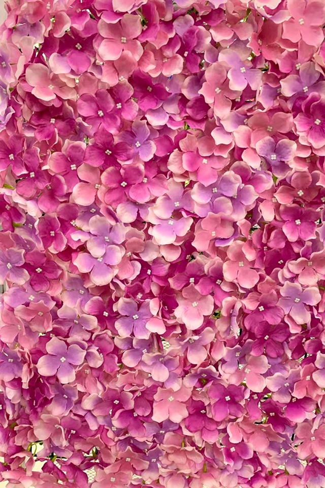 HYDRANGEA HYDRANGEAS ARTIFICIAL ARTIFICIALS FLOWERS FLOWER HEAD HEADS PANEL PANELS WALL WALLS FLOWER PANEL FLOWER PANELS FLOWER WALL FLOWER WALLS