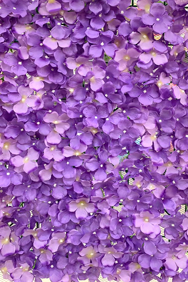 HYDRANGEA HYDRANGEAS ARTIFICIAL ARTIFICIALS FLOWERS FLOWER HEAD HEADS PANEL PANELS WALL WALLS FLOWER PANEL FLOWER PANELS FLOWER WALL FLOWER WALLS