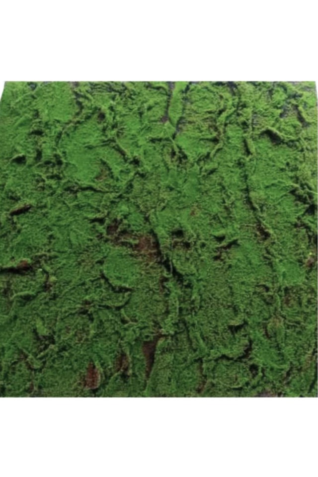 GGREENERY GGREENERIES GGREENERIE ARTIFICIAL ARTIFICIALS FLOWER FLOWERS PANEL PANELS WALL WALLS FLOWER PANEL FLOWER PANELS FLOWER WALL FLOWER WALLS GREEN GREENS LEAF LEAFS LEAVES LEAFE LEAVE GREENERY GREENERIES GREENERIE MOSS MOSSES MOS LUSH LUSHES BASIC BASICS