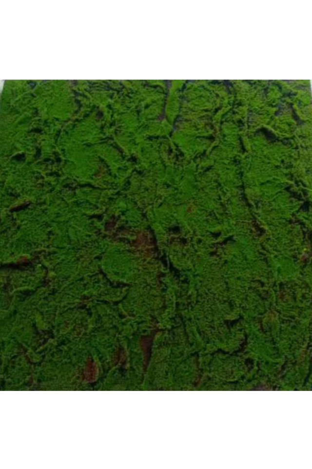 GGREENERY GGREENERIES GGREENERIE ARTIFICIAL ARTIFICIALS FLOWER FLOWERS PANEL PANELS WALL WALLS FLOWER PANEL FLOWER PANELS FLOWER WALL FLOWER WALLS GREEN GREENS LEAF LEAFS LEAVES LEAFE LEAVE GREENERY GREENERIES GREENERIE MOSS MOSSES MOS LUSH LUSHES BASIC BASICS